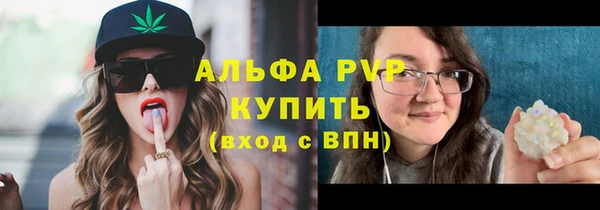 мет Дмитриев