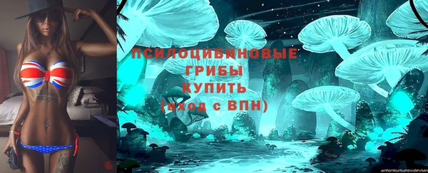 спайс Дмитров