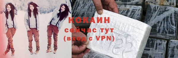 мет Дмитриев