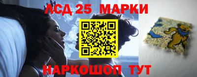 стафф Дубна