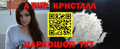стафф Дубна