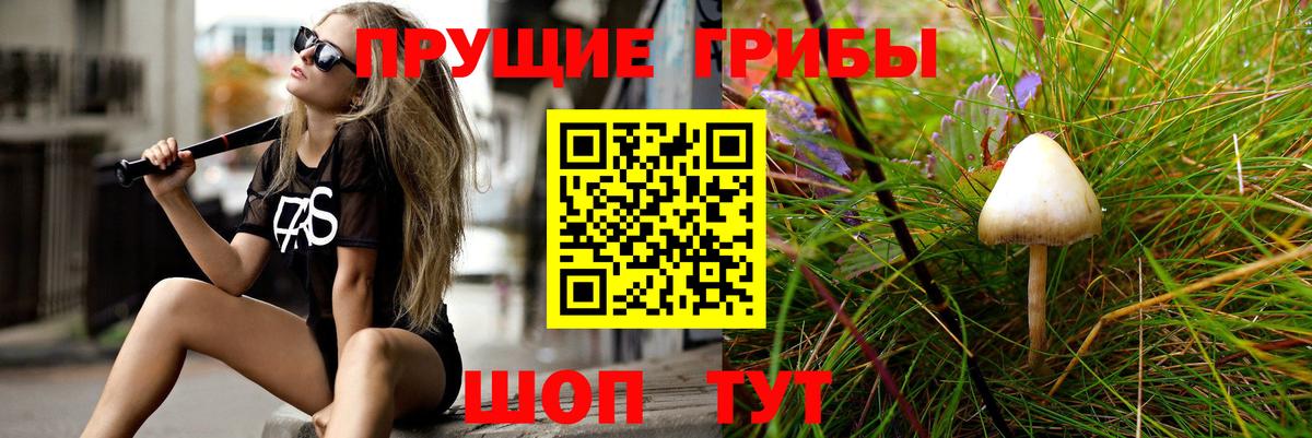 Псилоцибиновые грибы Cubensis  Вход с VPN  Галлюциногенные грибы GOLDEN TEACHER  Домодедово 